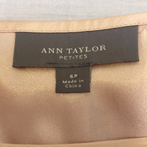 Ann Taylor Silk Pink Rose Apricot lined Skirt - Picture 3 of 6